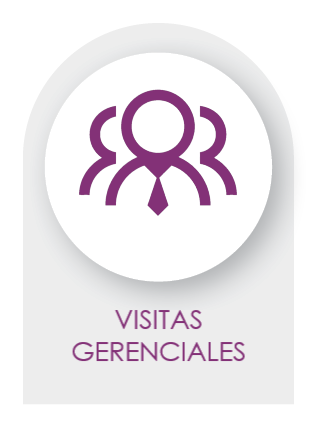 Visitas Gerenciales